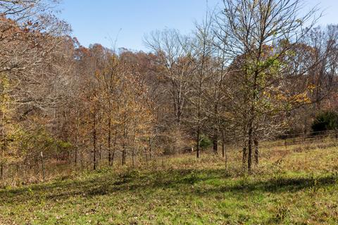 845 Wells Rd, Dickson, TN 37055 photo 28