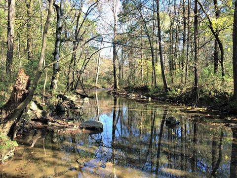 672 Spring St, Decherd, TN 37324 photo 3