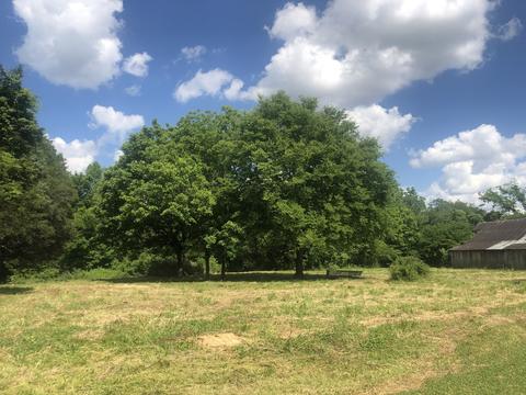 672 Spring St, Decherd, TN 37324 photo 37