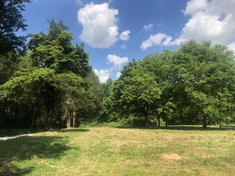 672 Spring St, Decherd, TN 37324 photo 36