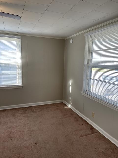 407 Dull St, Dickson, TN 37055 photo 10
