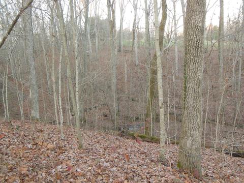 6407 New Cut Rd, Springfield, TN 37172 photo 20