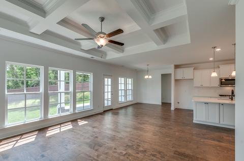 244 Star Pointer Way, Spring Hill, TN 37174 photo 10