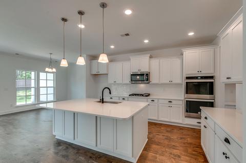244 Star Pointer Way, Spring Hill, TN 37174 photo 7