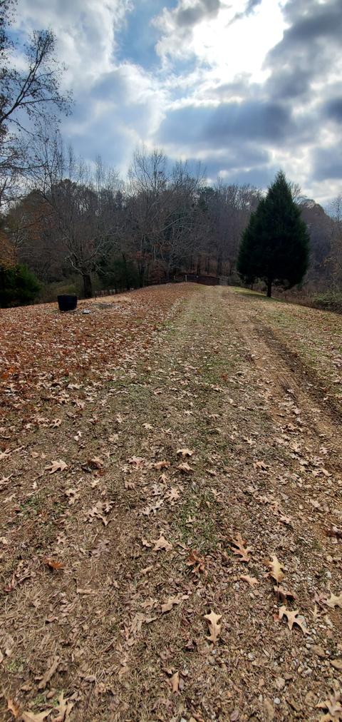 628 Briar Patch Rd, Prospect, TN 38477 photo 9