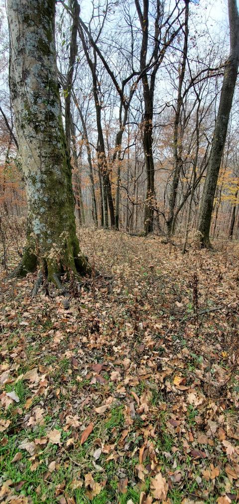 628 Briar Patch Rd, Prospect, TN 38477 photo 29