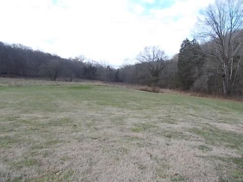 641 Rogues Fork Rd, Bethpage, TN 37022 photo 26