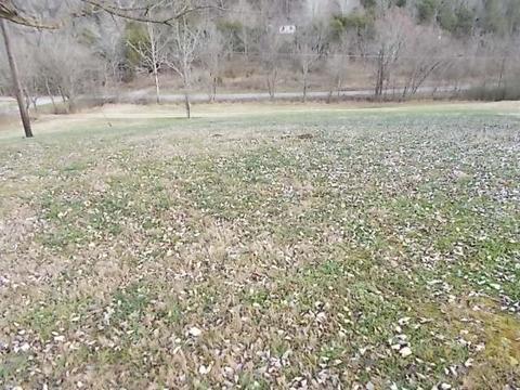 641 Rogues Fork Rd, Bethpage, TN 37022 photo 28