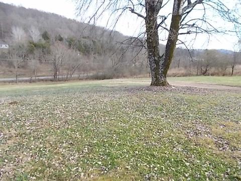 641 Rogues Fork Rd, Bethpage, TN 37022 photo 29