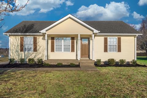 209 Corbitt Ln, Springfield, TN 37172 photo 1
