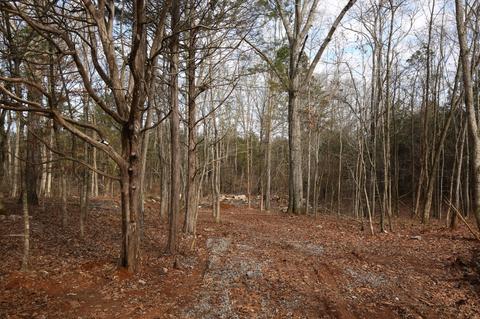6228 E Buckeye Bottom Rd, Murfreesboro, TN 37129 photo 15