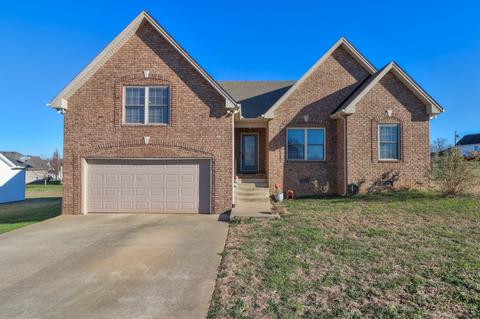 202 Brandywine Ln, Springfield, TN 37172 photo 1