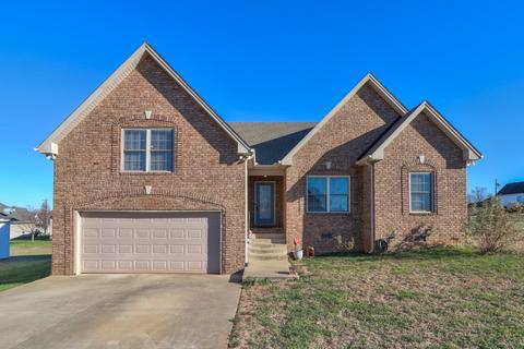 202 Brandywine Ln, Springfield, TN 37172 photo 39