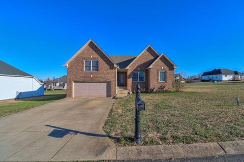 202 Brandywine Ln, Springfield, TN 37172 photo 37