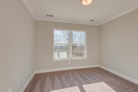 414 Killarney Pl, Fairview, TN 37062 photo 21