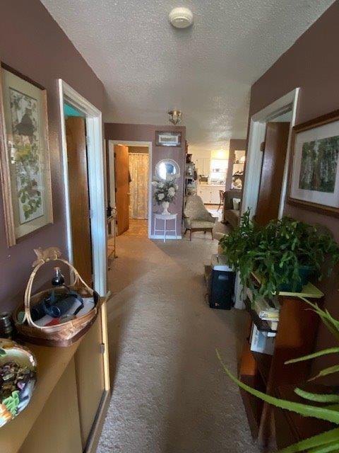 106 Division St, Normandy, TN 37360 photo 12