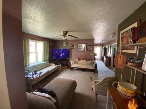 106 Division St, Normandy, TN 37360 photo 5
