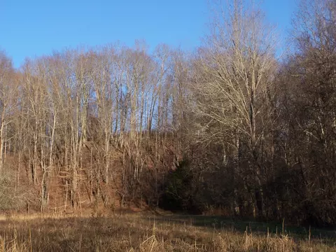 1353 Black Rd, Prospect, TN 38477 photo 7