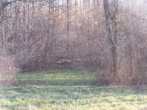 1353 Black Rd, Prospect, TN 38477 photo 8