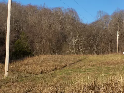 1353 Black Rd, Prospect, TN 38477 photo 6
