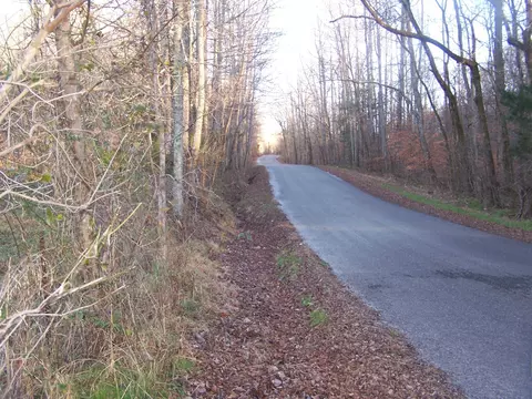 1353 Black Rd, Prospect, TN 38477 photo 16