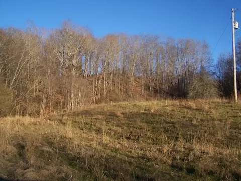 1353 Black Rd, Prospect, TN 38477 photo 14