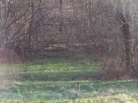 1353 Black Rd, Prospect, TN 38477 photo 9