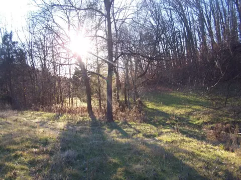 1353 Black Rd, Prospect, TN 38477 photo 13