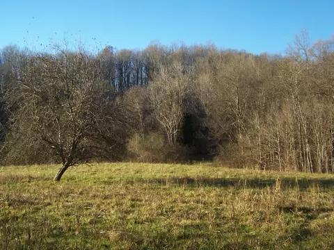 1353 Black Rd, Prospect, TN 38477 photo 12