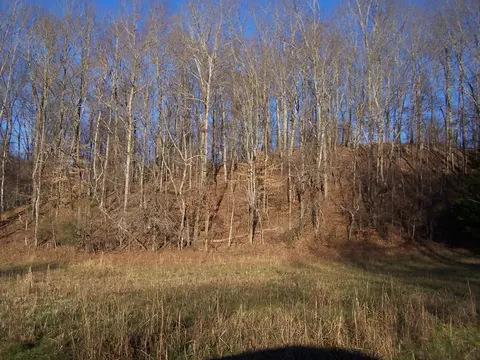 1353 Black Rd, Prospect, TN 38477 photo 11