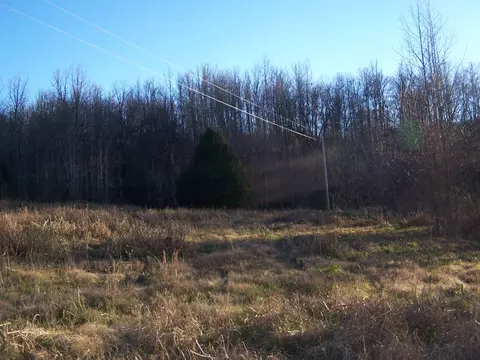 1353 Black Rd, Prospect, TN 38477 photo 15