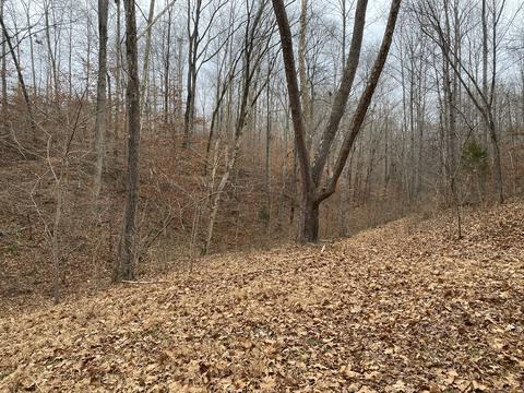 1567 Terrell Branch Rd, Centerville, TN 37033 photo 1