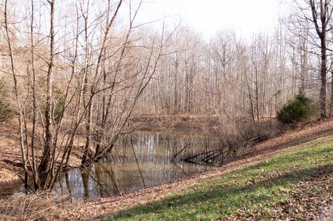 7780 Caney Fork Rd, Fairview, TN 37062 photo 47