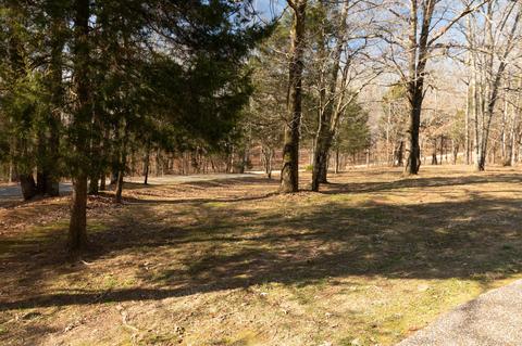 7780 Caney Fork Rd, Fairview, TN 37062 photo 3