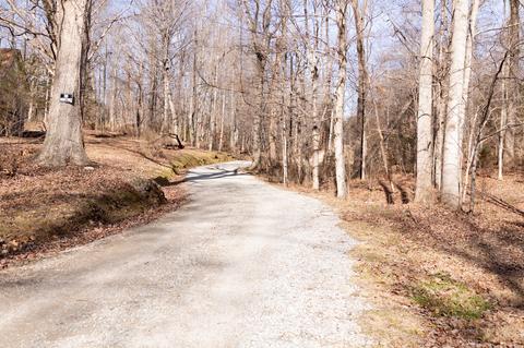 7780 Caney Fork Rd, Fairview, TN 37062 photo 48
