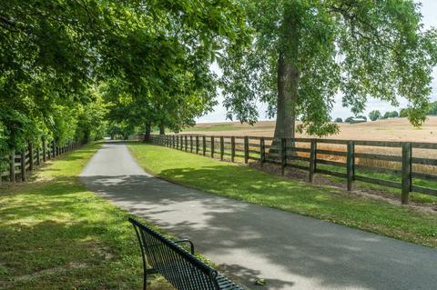 204 2nd Ave W, Springfield, TN 37172 photo 28
