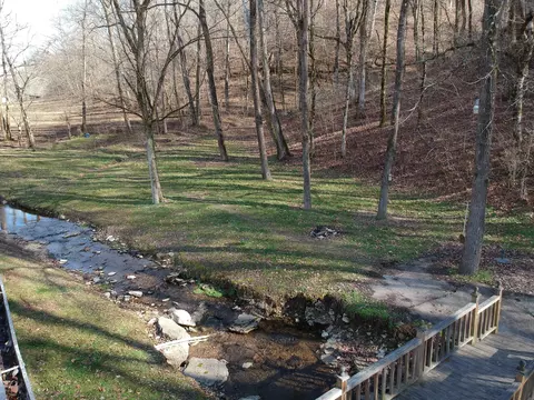 1709 Dave Risner Rd, Ethridge, TN 38456 photo 7
