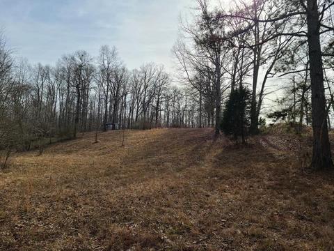 208 Fleming Rd, Loretto, TN 38469 photo 1
