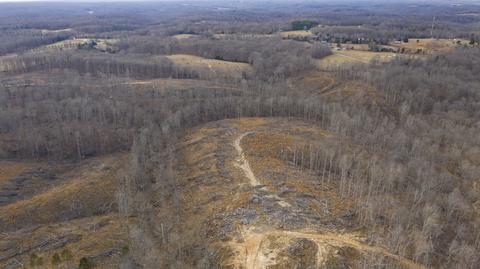 1224 Hortense Rd, Dickson, TN 37055 photo 23