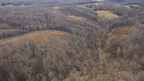 1224 Hortense Rd, Dickson, TN 37055 photo 22