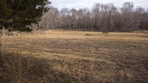 1224 Hortense Rd, Dickson, TN 37055 photo 10