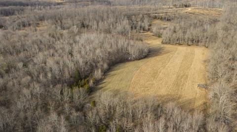 1224 Hortense Rd, Dickson, TN 37055 photo 15