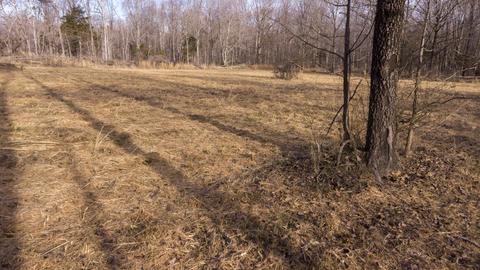 1224 Hortense Rd, Dickson, TN 37055 photo 9