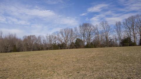 1224 Hortense Rd, Dickson, TN 37055 photo 1