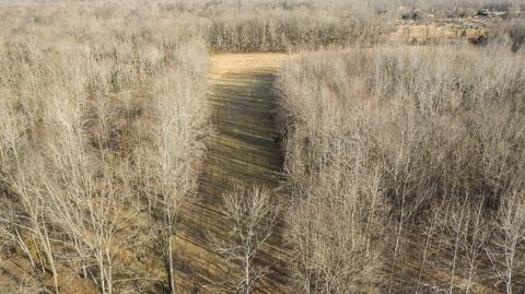 1224 Hortense Rd, Dickson, TN 37055 photo 14