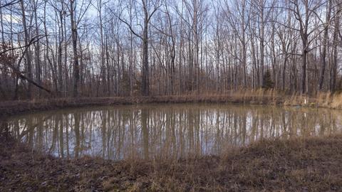 1224 Hortense Rd, Dickson, TN 37055 photo 4