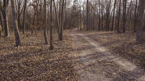 1224 Hortense Rd, Dickson, TN 37055 photo 6