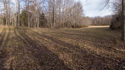 1224 Hortense Rd, Dickson, TN 37055 photo 7