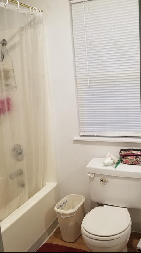 731 Brenda Ave, Loretto, TN 38469 photo 15