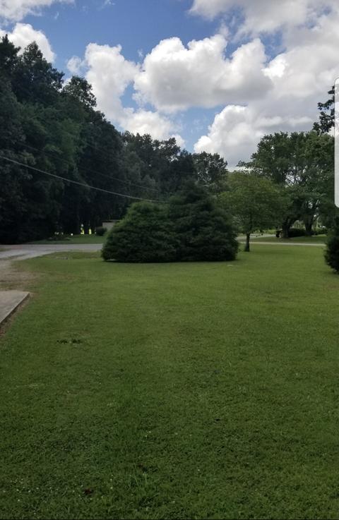 731 Brenda Ave, Loretto, TN 38469 photo 19